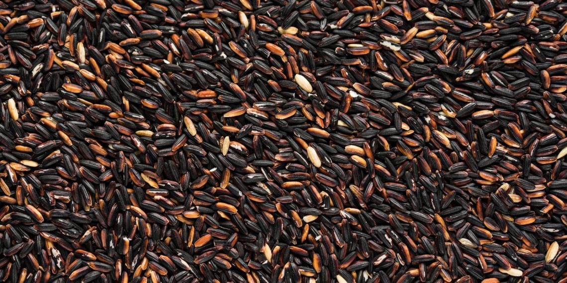 chicchi di riso nero venere, ricchi di flavonoidi
