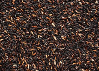 chicchi di riso nero venere, ricchi di flavonoidi