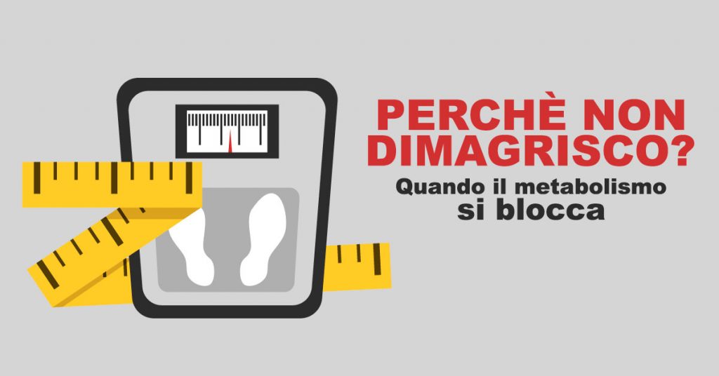 perché non dimagrisco