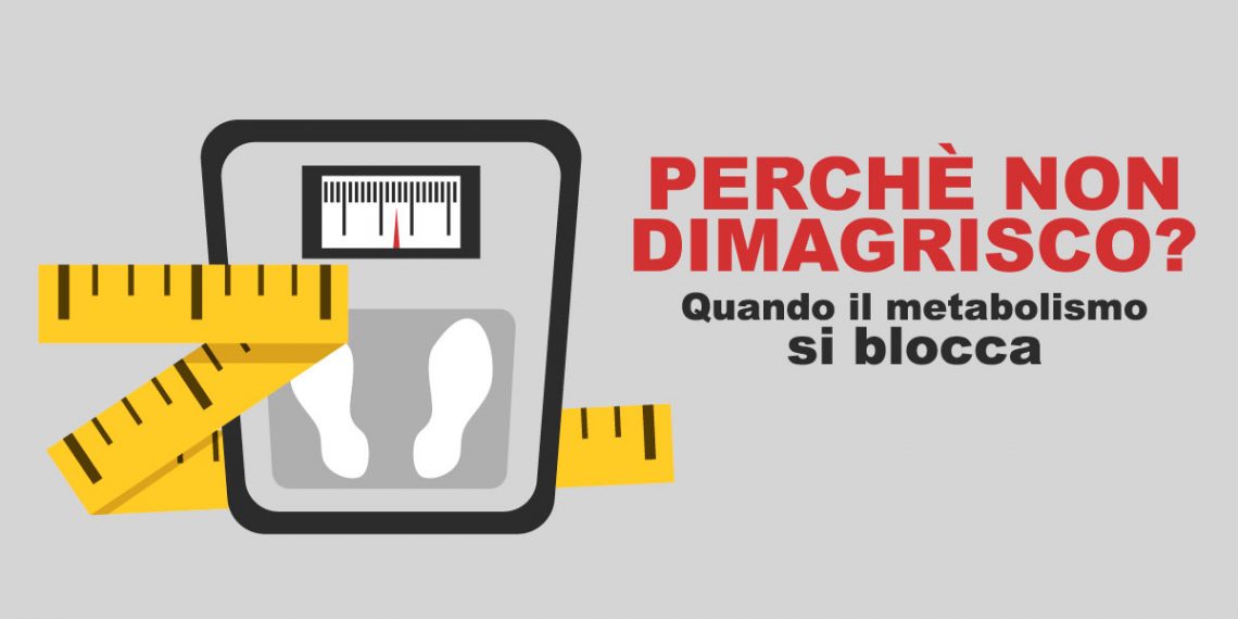 perché non dimagrisco