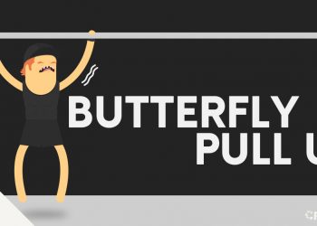 Butterfly pull up