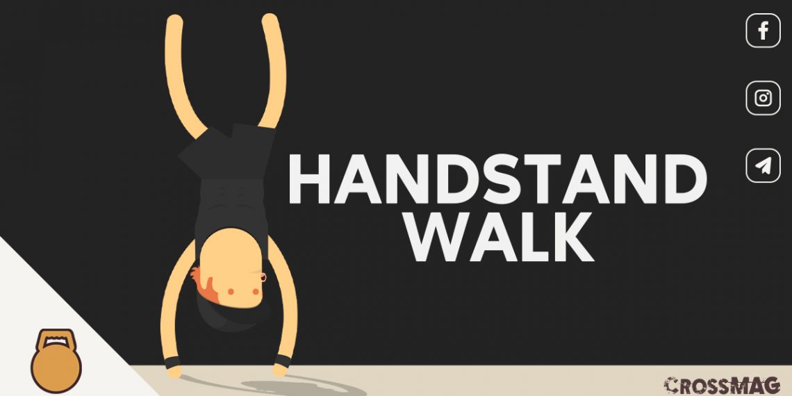 Progressione per handstand walk