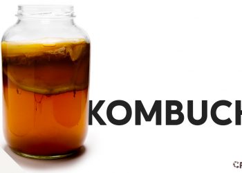 kombucha