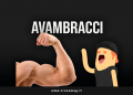 avambracci