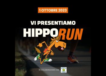 hipporun